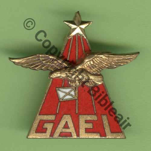 8906 EMGFAA 65eET GAEL VILLACOUBLAY  SM 2Anneaux Guilloche Email Src.Y.GENTY 8Eur09.06 